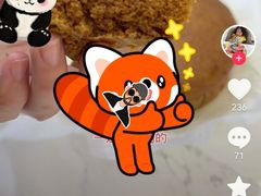 -约翰·菲茨杰拉德·肯尼迪国际机场