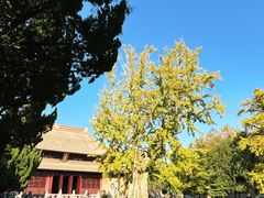 -苏州文庙(姑苏区)