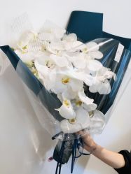 -Dr.U博士医疗美容医院