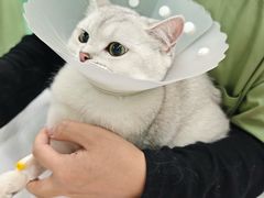 -达爱动物医院·犬猫分区·CT·复杂眼科(远洋山水分院)