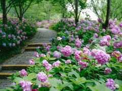 -上海滨江森林公园