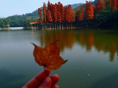 -西樵山风景名胜区-天湖公园