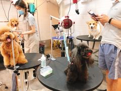 -PETKIT小佩宠物(古北店)