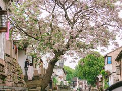 -仓桥直街