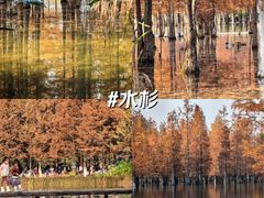 -白鹭湾湿地公园