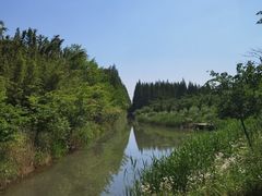 -东平国家森林公园