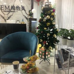 -DEM缔怡美科技美容