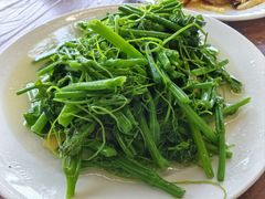 清炒佛手瓜苗-望江饭店(13年精品店)