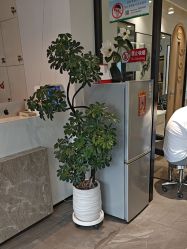 -LJOY丽锦造型·烫发染发