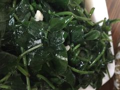 明升萝卜汤-明升萝卜汤