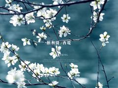 -颐和园