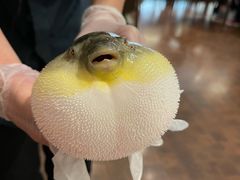 -肆月河豚·新淮扬(金融街店)