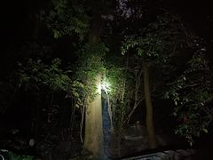 -火炉山森林公园