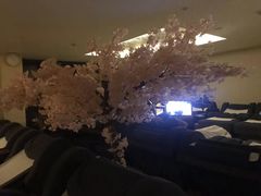-汤里来温泉