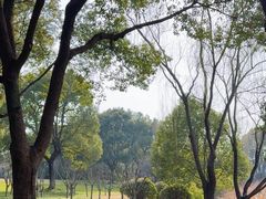 -贡湖湾湿地公园