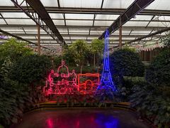 -南宫五洲植物乐园