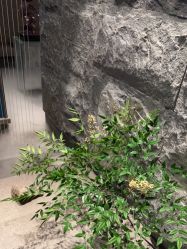 -美壹生皮肤管理中心