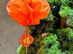 -阿露佳·舌尖上的安吉菜