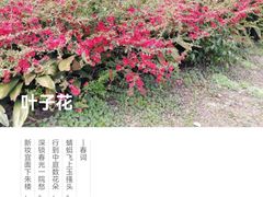 -孙武文化园-停车场