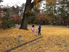 -京都御所
