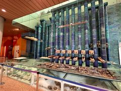 -贾特拉帕蒂·希瓦吉国际机场