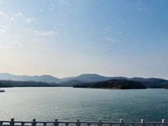 -佛手湖郊野公园