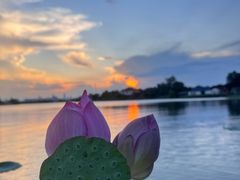 -东湖落雁景区