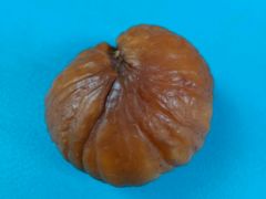 大栗-金栗王(清扬路店)