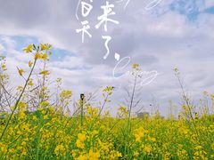 -光明小镇欢乐田园
