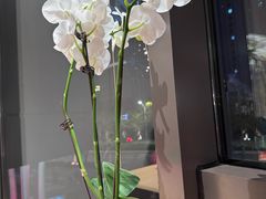 -一石三鸟烧鸟•刺身•定食套餐(南桥美谷店)