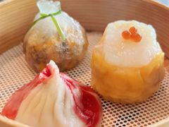 -随堂里