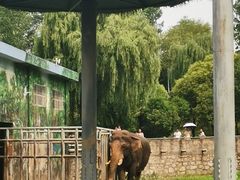 -西安秦岭野生动物园