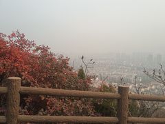 -府君山公园