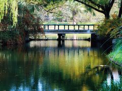 -上海共青森林公园