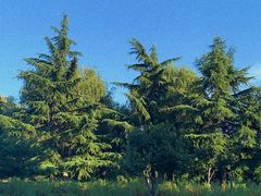 -济南国际园博园