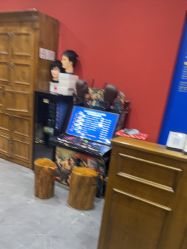 -贝勒爷专业男发