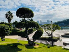 -海沧湾公园