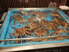 -蟹将军·松叶蟹和牛日料放题自助(K11店)