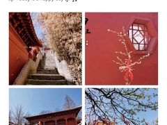 -沂蒙山旅游区云蒙景区(蒙山国家森林公园)