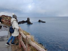 -涉地可支
