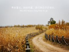 -野鸭湖国家湿地公园