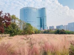 -艾溪湖湿地公园