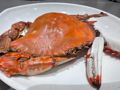 -神洲四海大酒楼(王府井澳门中心店)