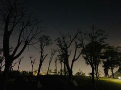 -白石龙音乐公园