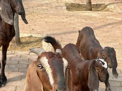 -水上乐园·欢乐世界