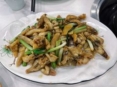 姜葱炒竹蛏-盈田盈粥庄(博山东路店)