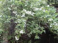 -河南省黄河迎宾馆