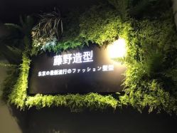 -藤野造型