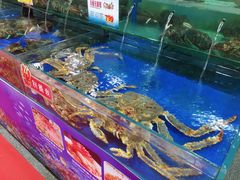 水产区-东江海鲜酒家(艺都分店)