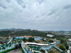 -西霞口神雕山野生动物世界